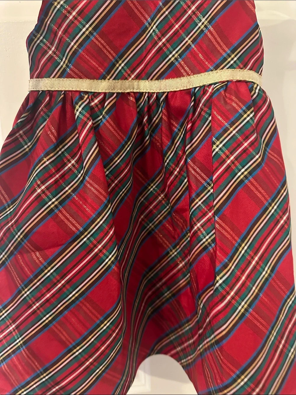 Blueberi Boulevard Red Plaid Dress with Gold Waistband